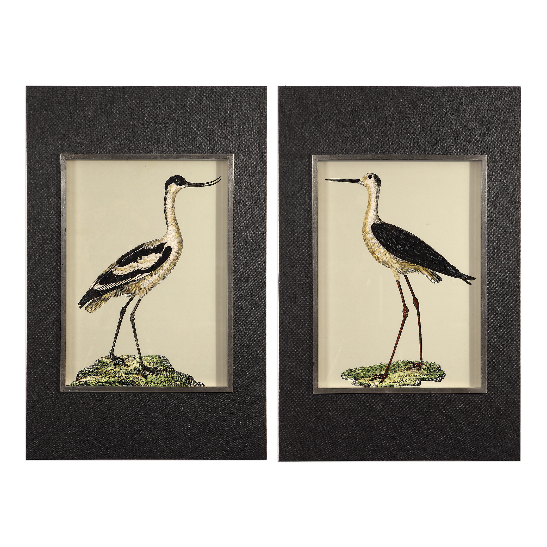 Picture of BIRDS ON THE SHORE PRINTS